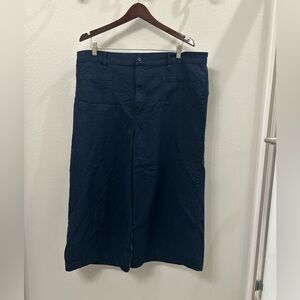 Point Sur Navy Shorts